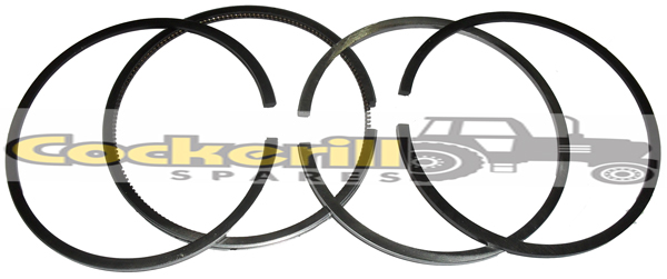 Piston Ring Set Ford 3600/3000