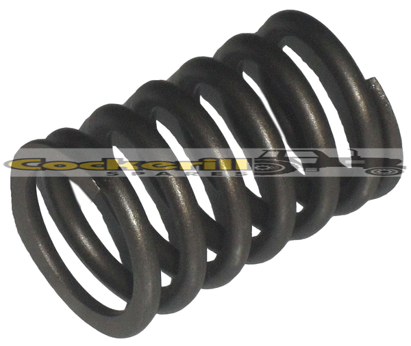 Valve Spring