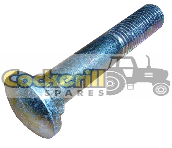Rim Bolt